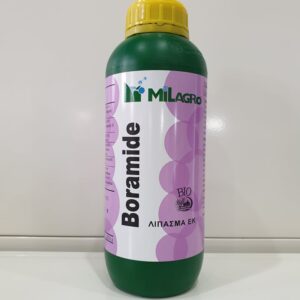 Boramide Βόριο 1 Lt